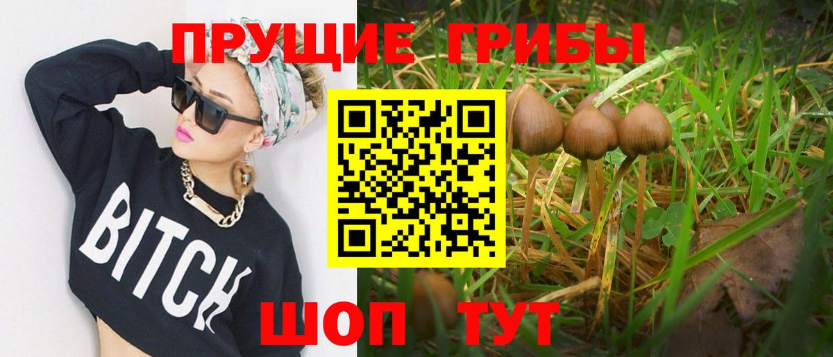 Псилоцибиновые грибы мухоморы Златоуст