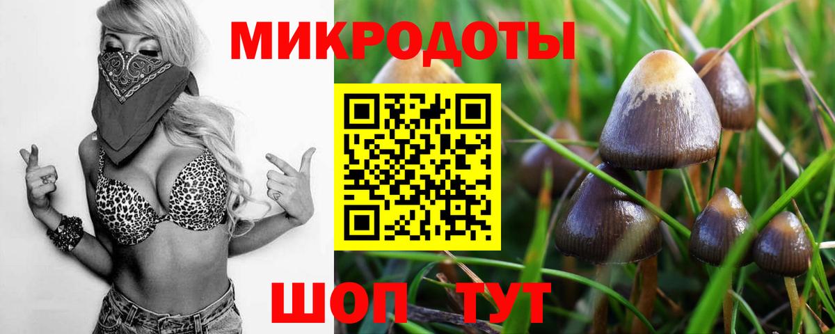 Псилоцибиновые грибы Cubensis  Псилоцибиновые грибы Cubensis  Вход с VPN  Златоуст 